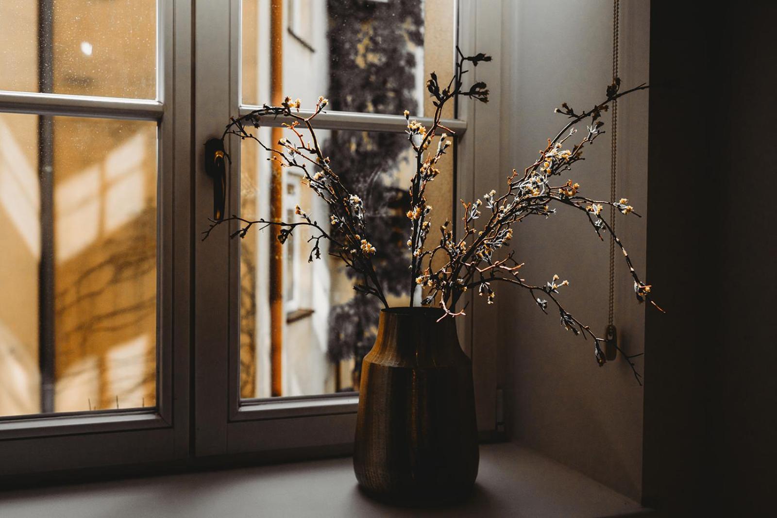 Antique Apartments Old Town Krakow Ngoại thất bức ảnh
